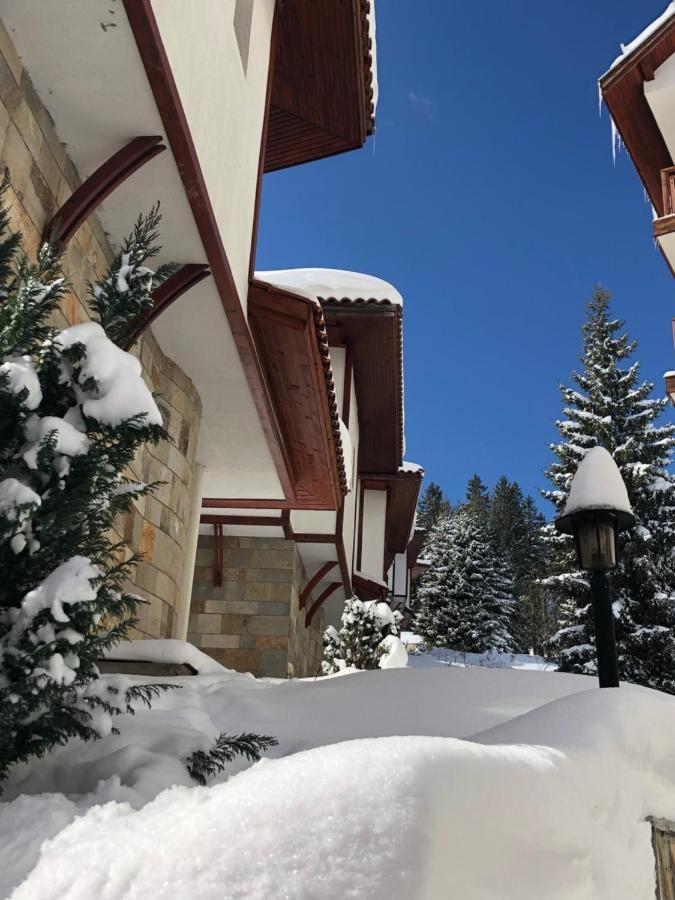 Pamporovo Villa エクステリア 写真