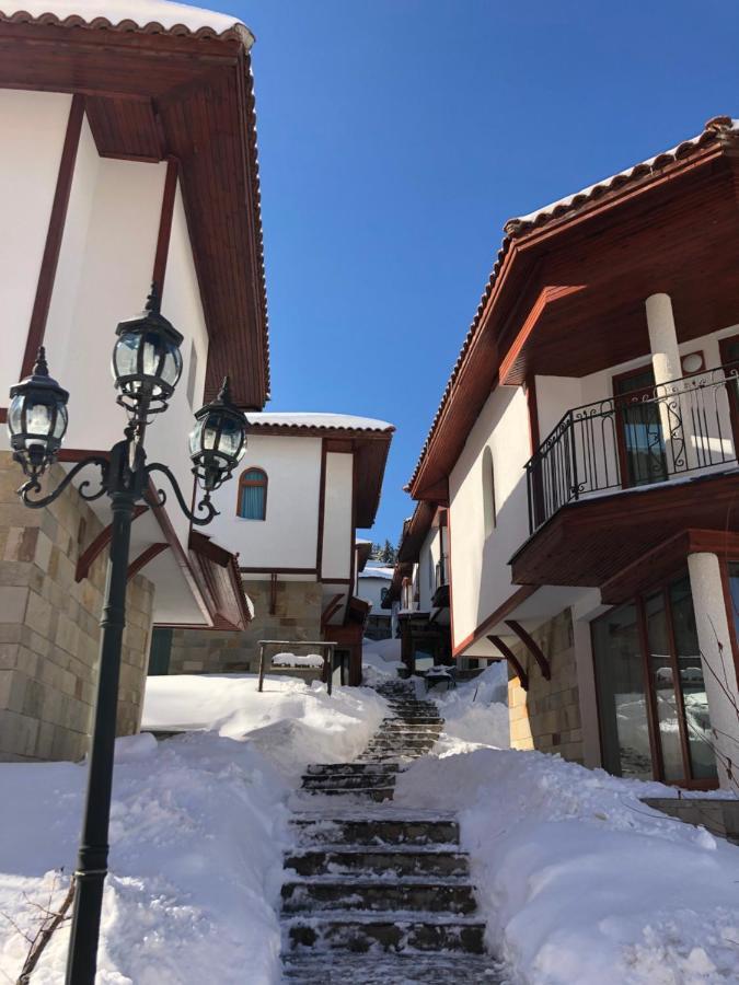 Pamporovo Villa エクステリア 写真
