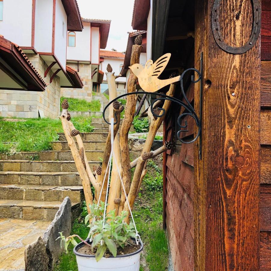 Pamporovo Villa エクステリア 写真