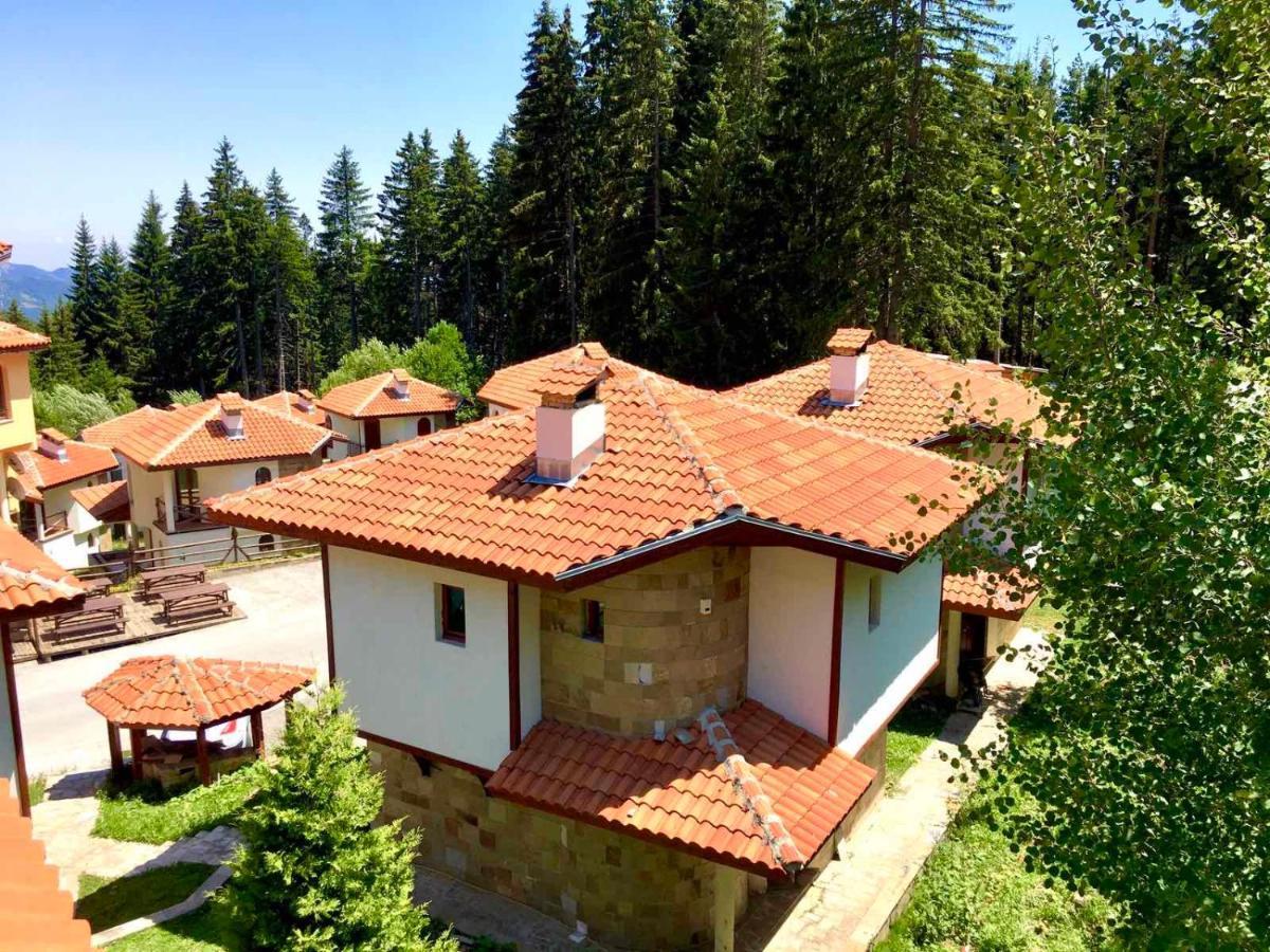 Pamporovo Villa エクステリア 写真