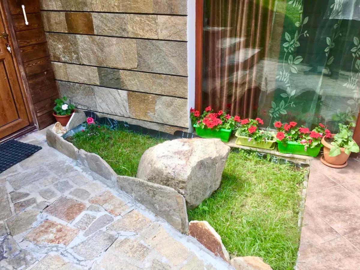Pamporovo Villa エクステリア 写真
