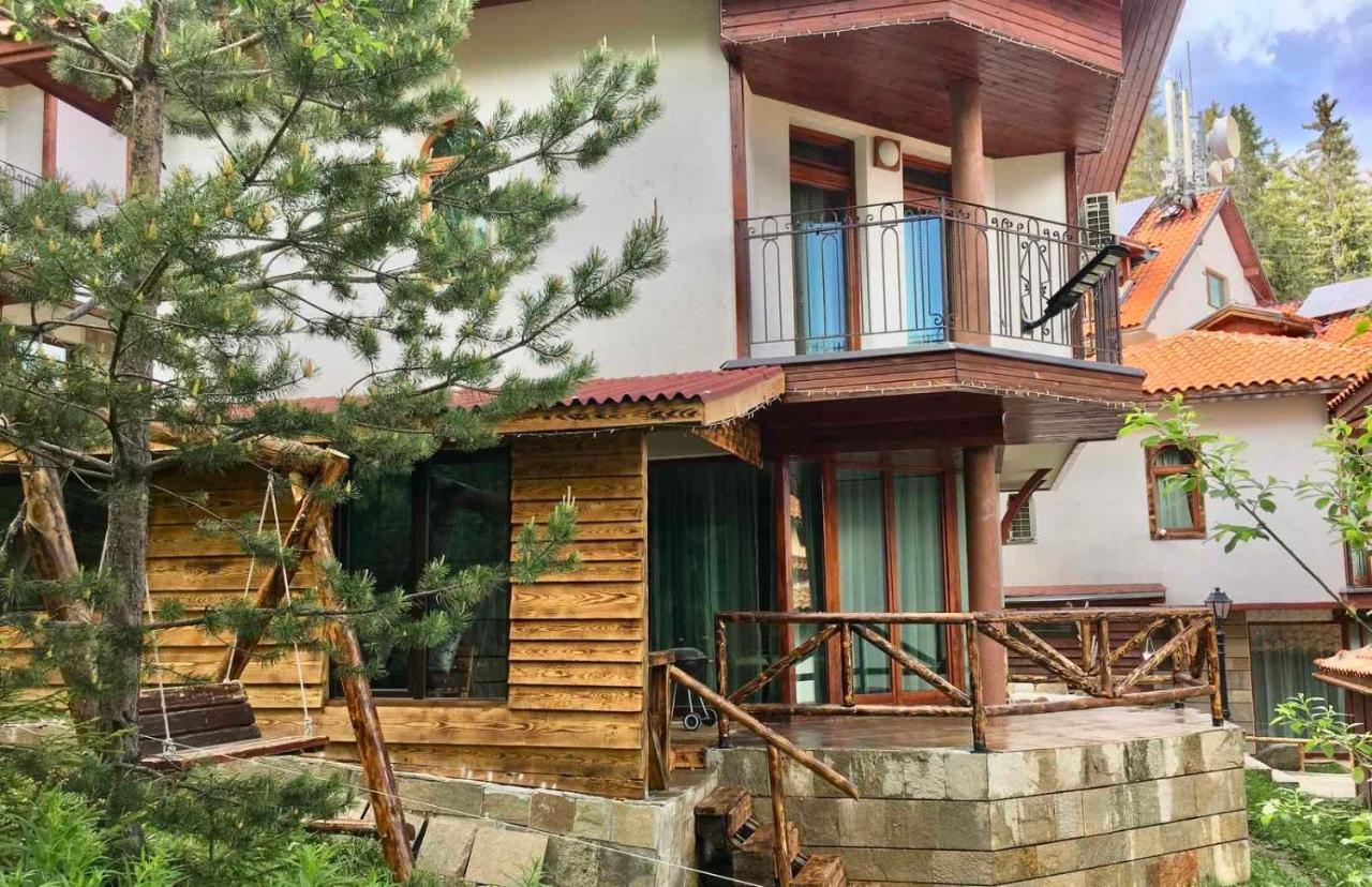 Pamporovo Villa エクステリア 写真
